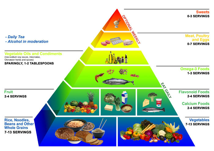 food pyramid pictures image