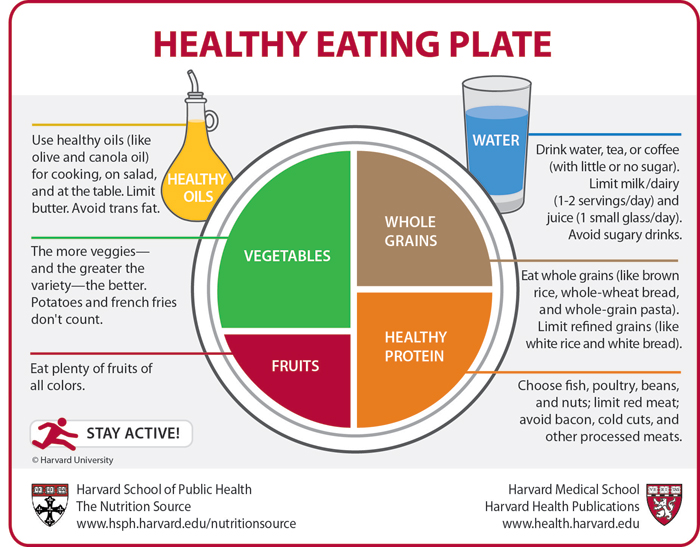 Healthy Eating Food Plate